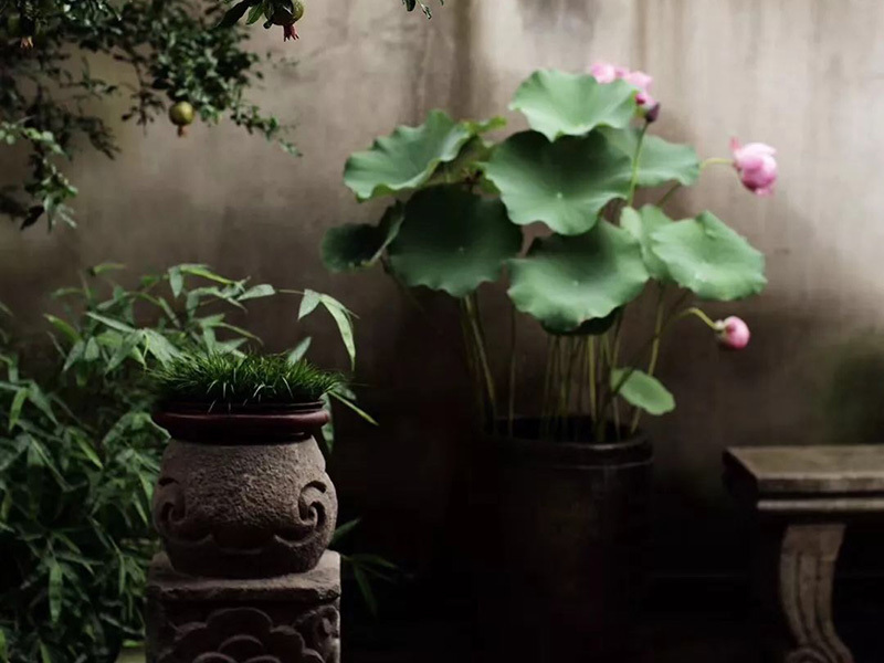 花钵 / 水钵