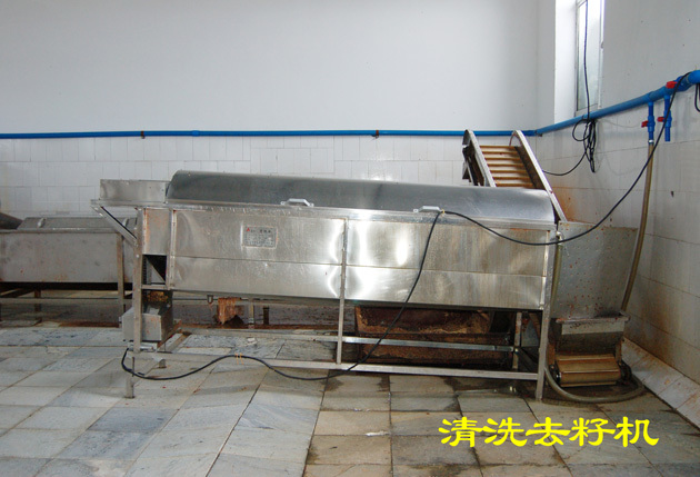 清洗去籽机