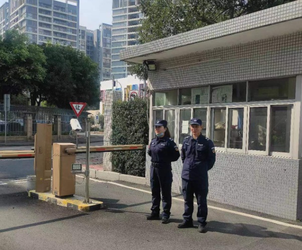 스피드 바카라