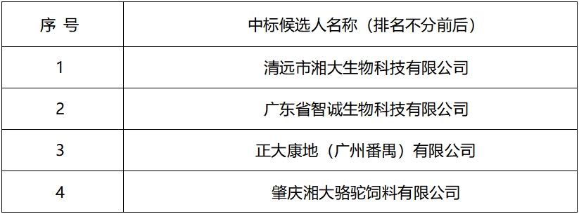 스피드 바카라