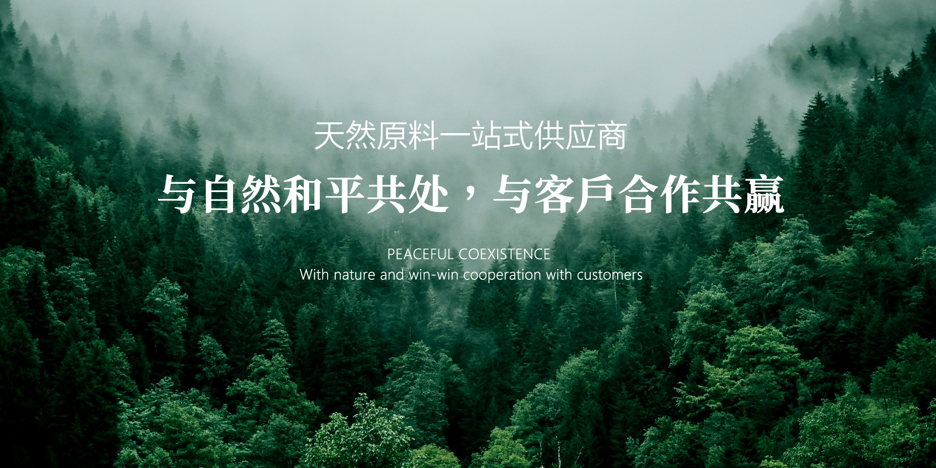 南京泰欣生物技術(shù)有限公司