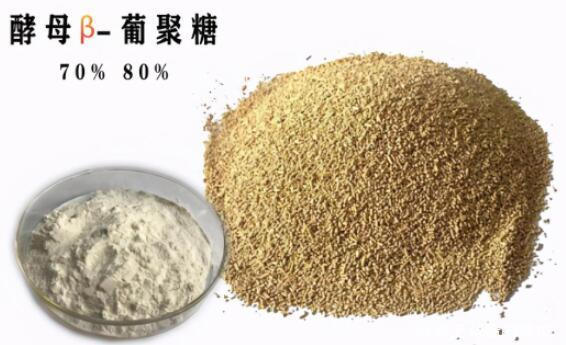 酵母β-葡聚糖能給創(chuàng)新帶來哪些新思路？