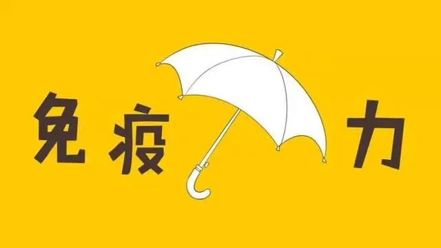 酵母β-葡聚糖是如何提高免疫力？