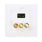 Home Theather Wall Plate