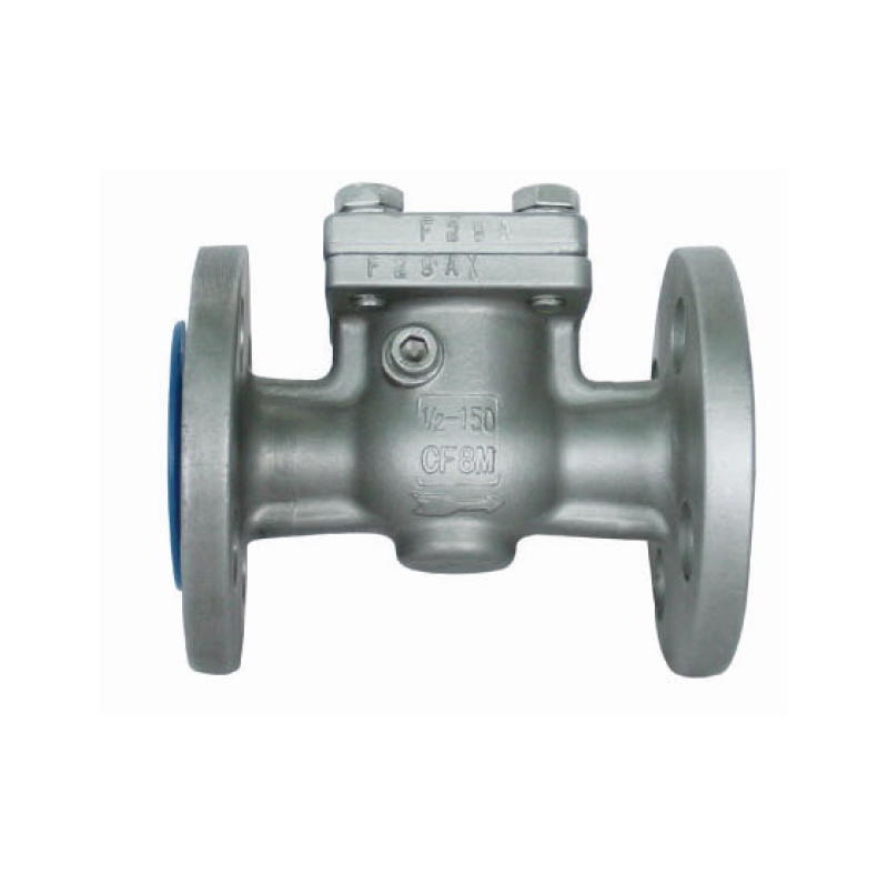 German standard swing flange check valve