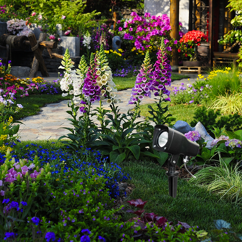 Garden Magic: Creating Enchanting Outdoor Lighting Effects That Transform Your Space
