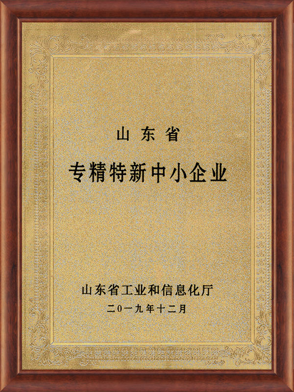 山東省專精特新企業(yè)