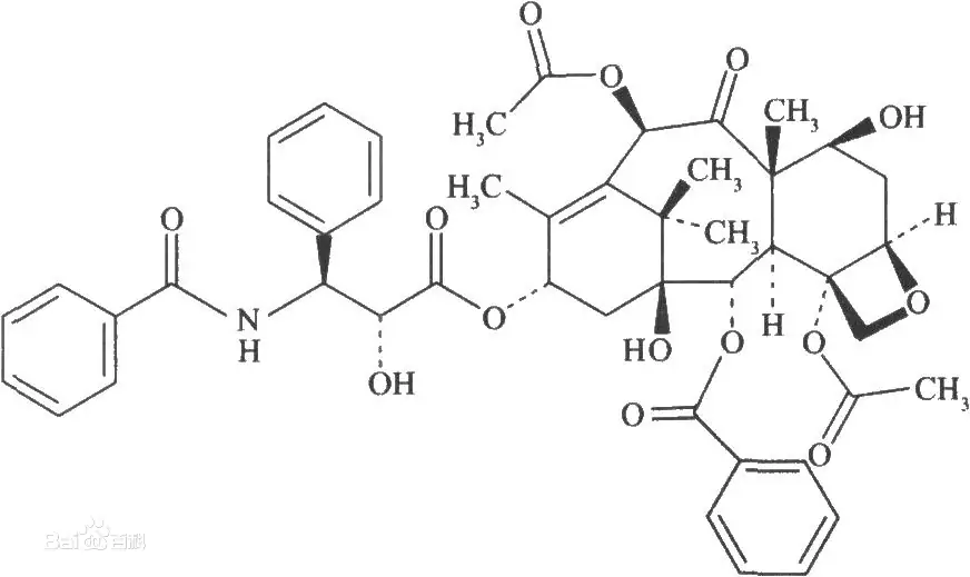 紫杉醇的分离纯化