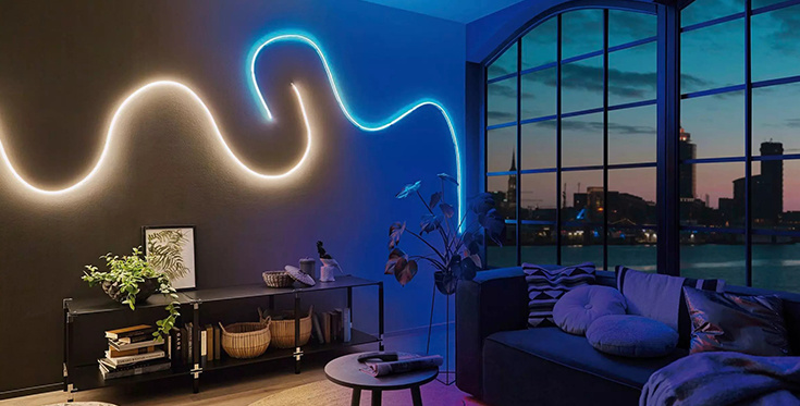 Silicone Neon