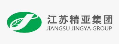 JIANGSU JINGYA GROUP