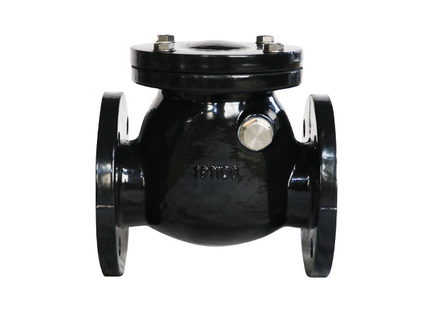 Class 125 Flanged Swing Check Valve