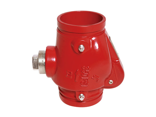 Low price Grooved check valve For sale