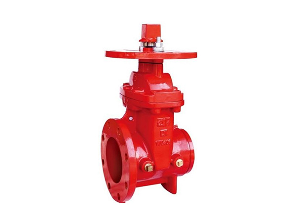 300PSI NRS Flanged x Grooved End Gate Valve Z485-300
