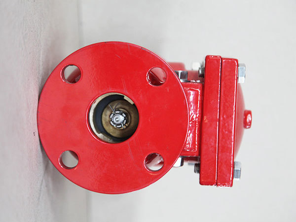 Fire fighting FM/UL Standard 300PSI Swing Check Valve fire protection  Flanged end