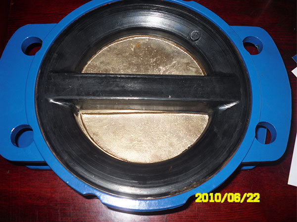 DIN rubber coated Non-return check valve 