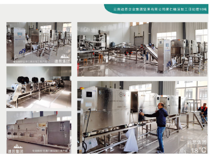 Yunnan Disi Enterprise Group Kernel deep processing production line