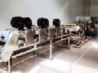 Yunnan Disi Enterprise Group Kernel deep processing production line