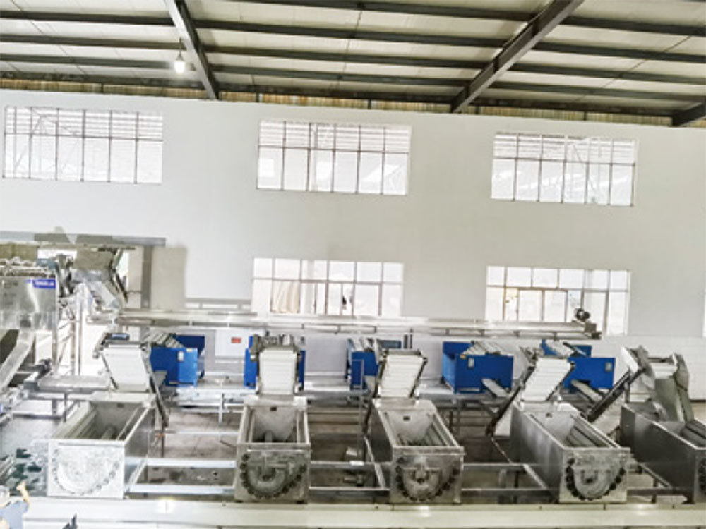 Lincang Fengqing Guoshida Agricultural Development Co., Ltd. 150t/d production