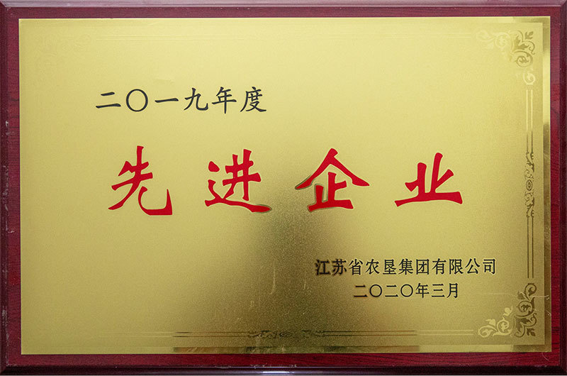 2019年度先進(jìn)企業(yè)