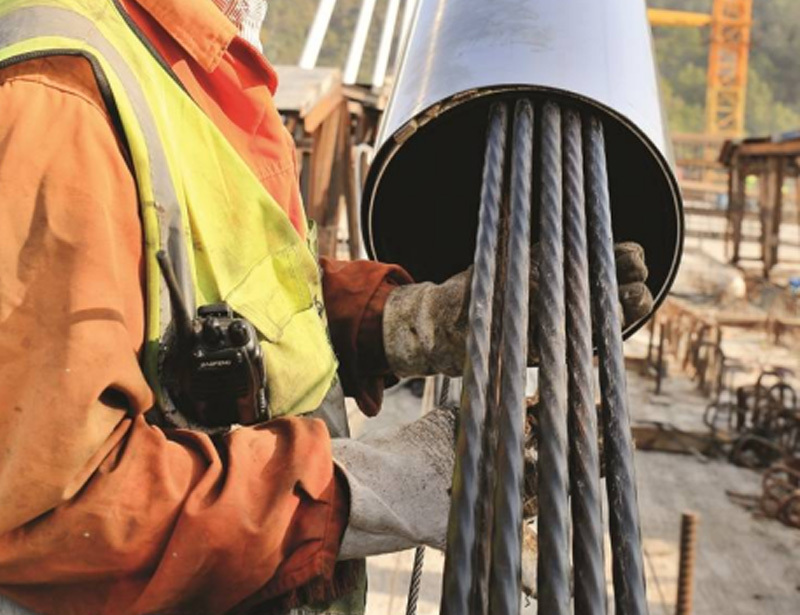 Steel strand cable of cable stayed bridge