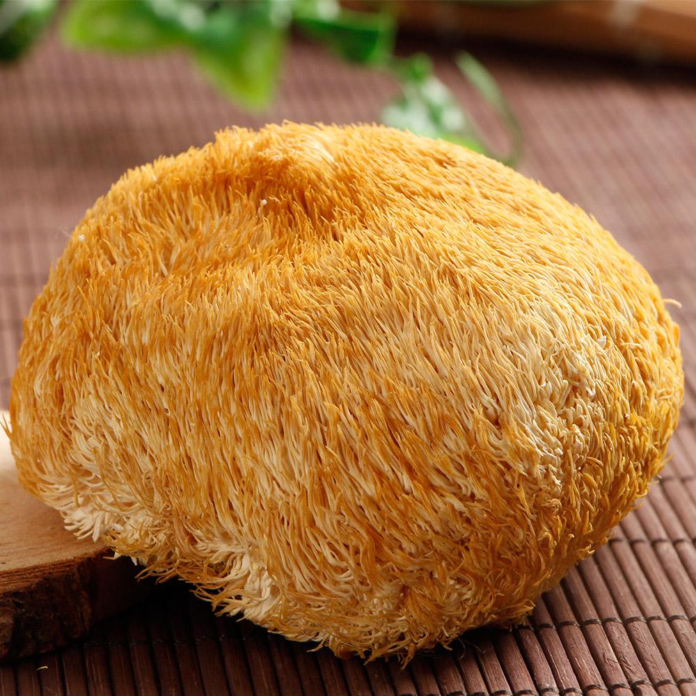 New innovation and new darling edible fungus raw materials are in great demand