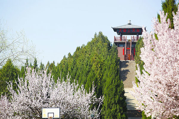 大秦温泉