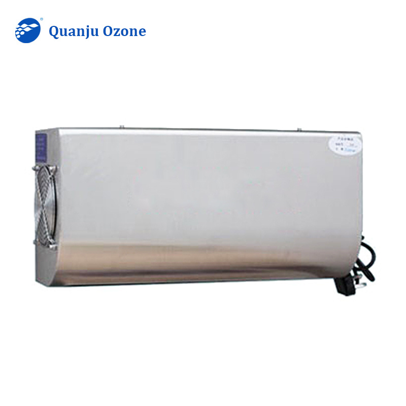 3g 5g 10g/h wall mounted ozone generator for hotel