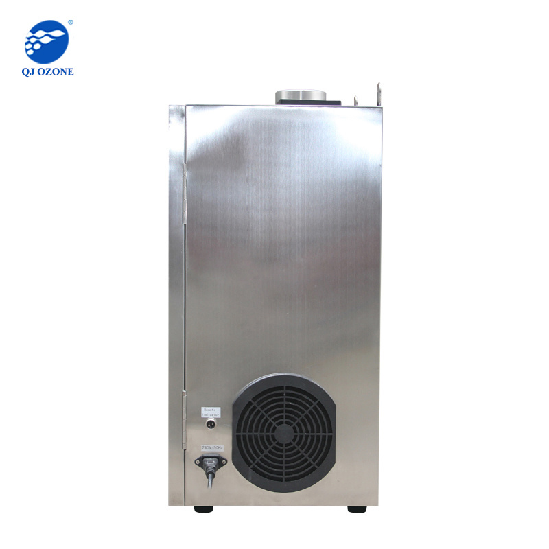 50g/h ceramic plate ozone generator for commercial kitchen