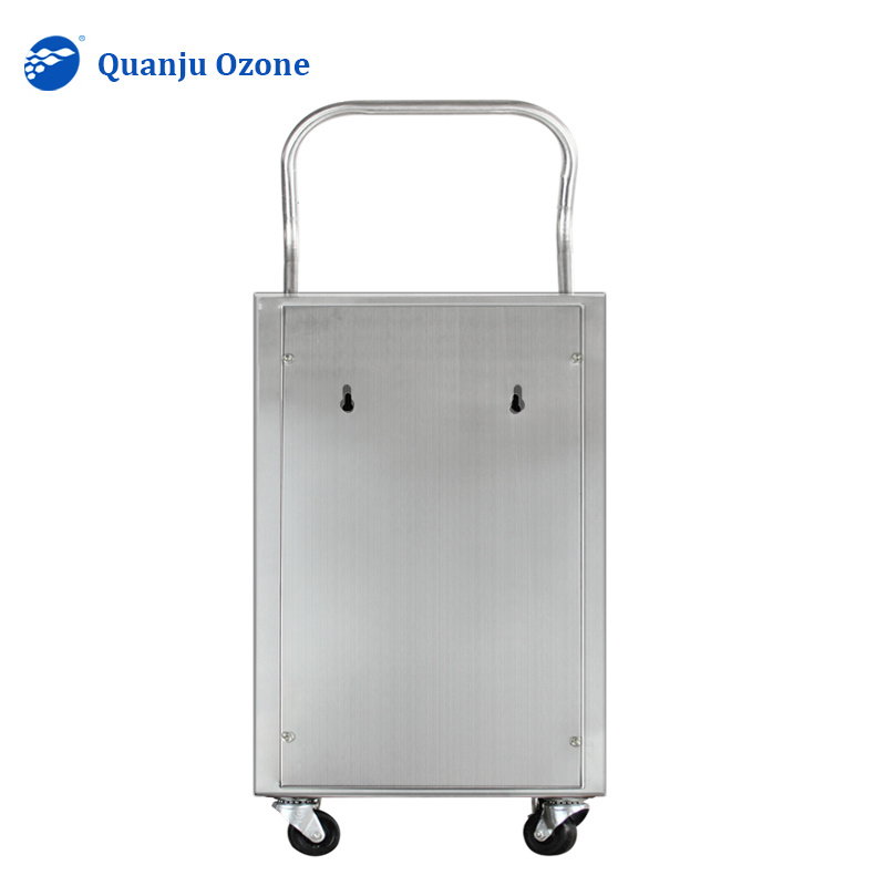 3g 5g 10g/h wall mounted ozone generator for hotel