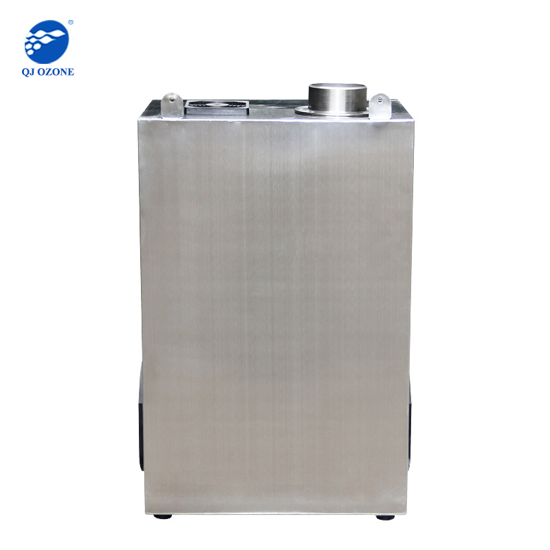 50g/h ceramic plate ozone generator for commercial kitchen