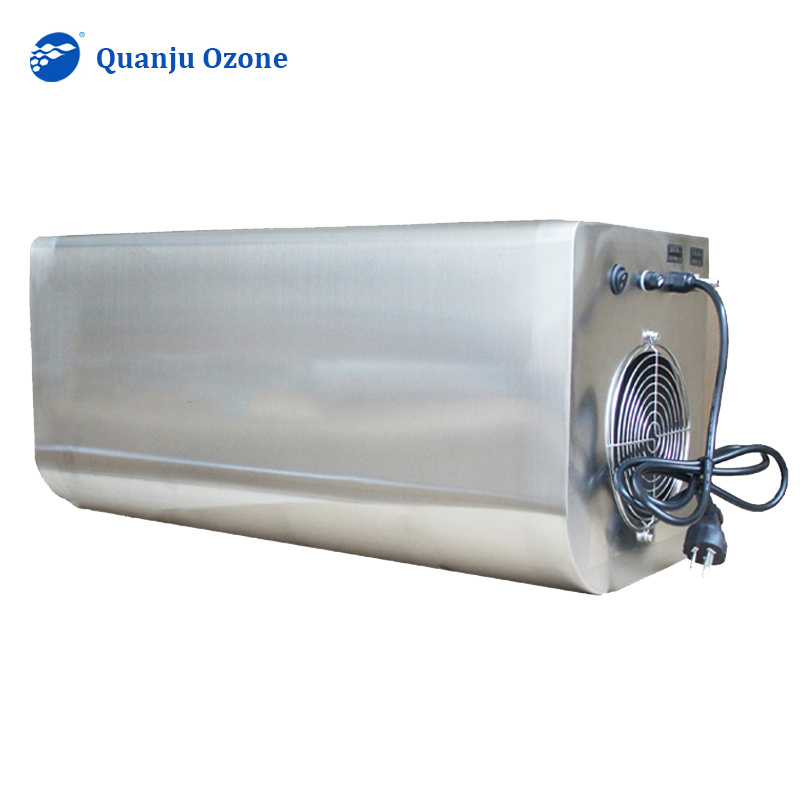 3g 5g 10g/h wall mounted ozone generator for hotel