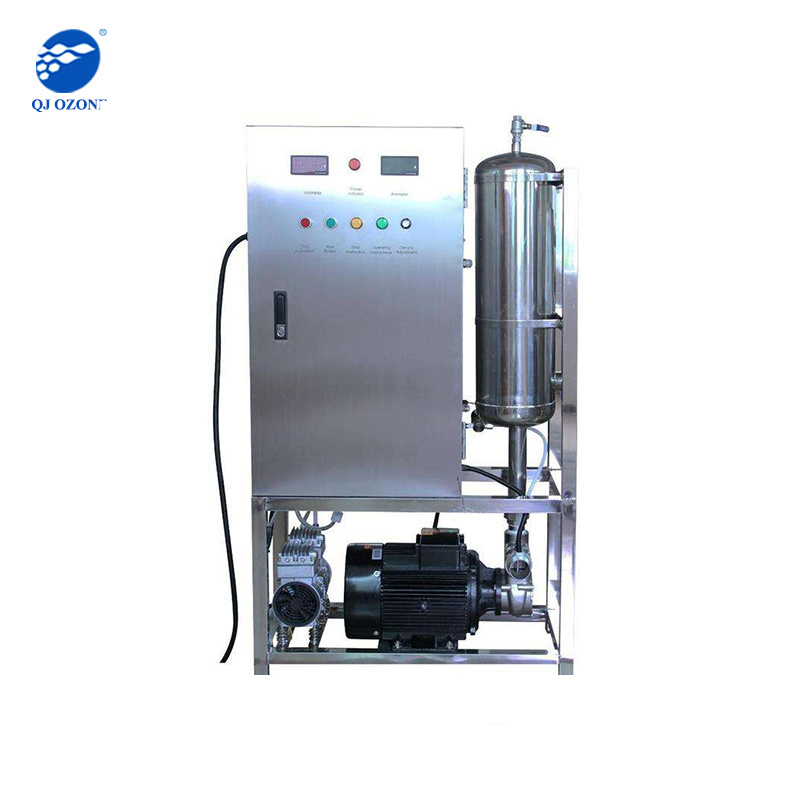 60g/h ozone water machine for drinking water treatment