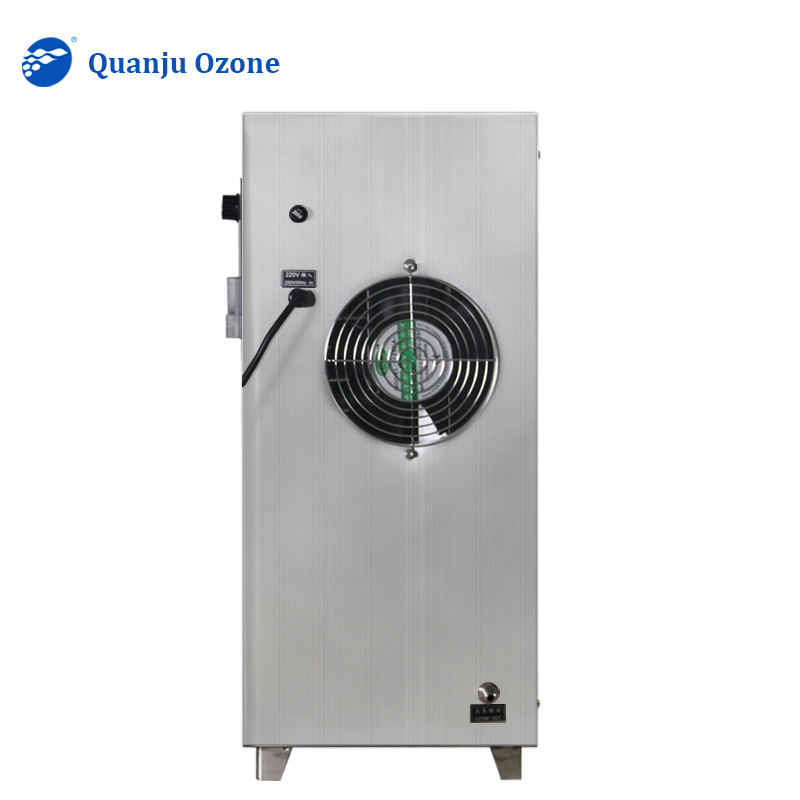 3g 5g 10g/h wall mounted ozone generator for hotel