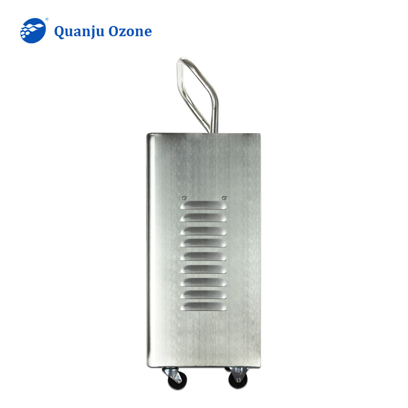 3g 5g 10g/h wall mounted ozone generator for hotel