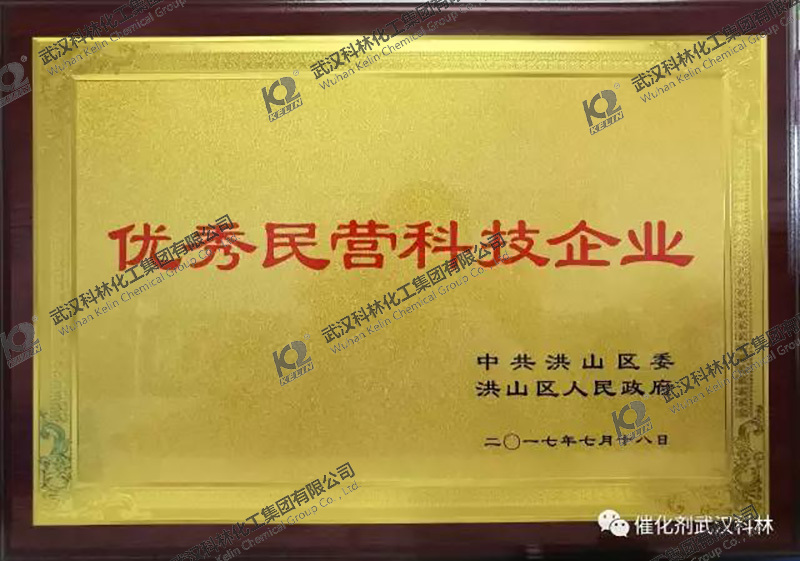 热烈庆祝武汉BWIN·必赢app荣获洪山区"优秀民营科技企业"称号