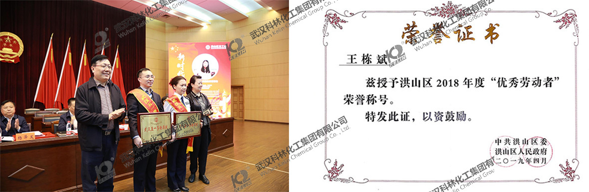 热烈祝贺科林公司荣获武汉市五一劳动奖状！