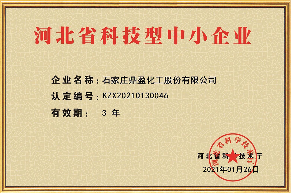 鼎盈科技型中小企业