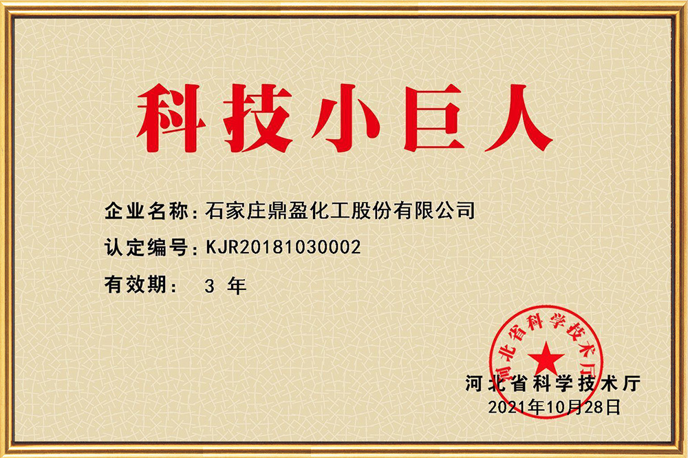 鼎盈科技小巨人