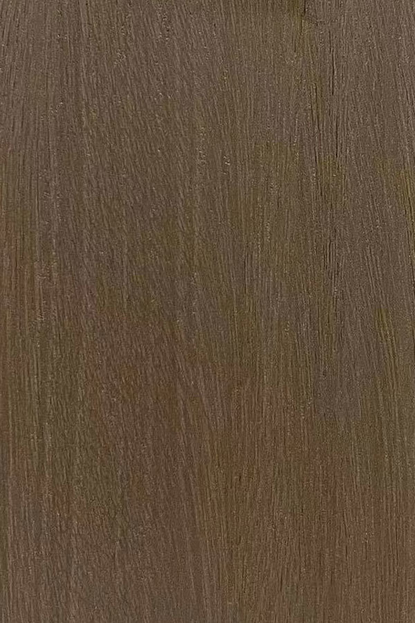 波特蘭檀木 -1