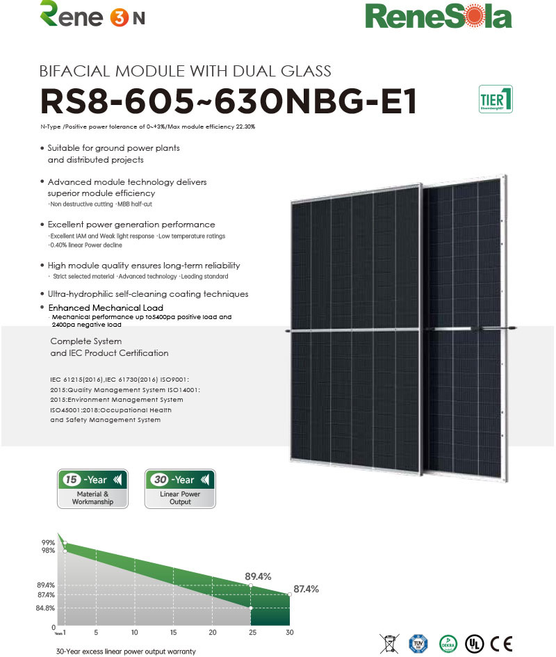 RS8-605~630NBG N-type (210-120 bifacial module with dual glass)