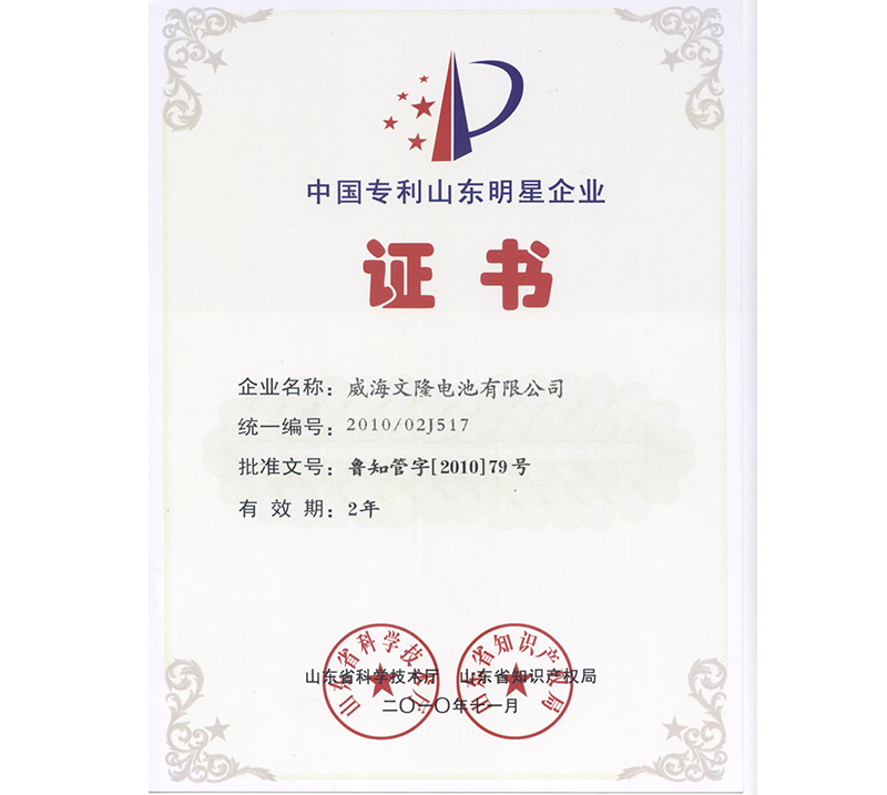 中國專利山東明星企業(yè)證書.png