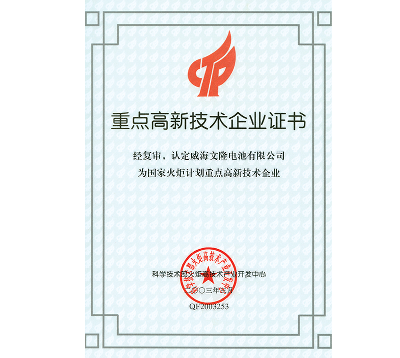 重點高新技術(shù)企業(yè)證書.png