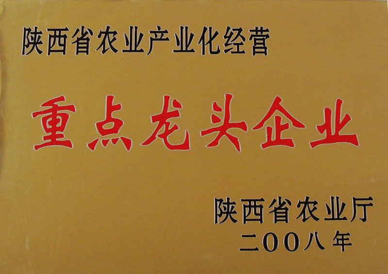 闄曡タ鐪佸啘涓氫骇涓氬寲缁忚惀閲嶇偣榫欏ご浼佷笟