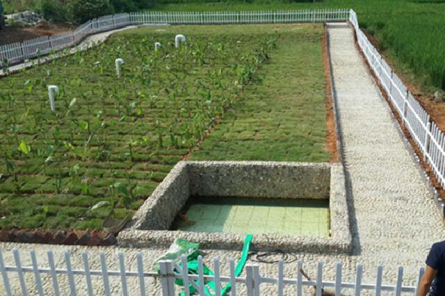 Artificial wetland sewage treatment project Artificial wetland sewage treatment project