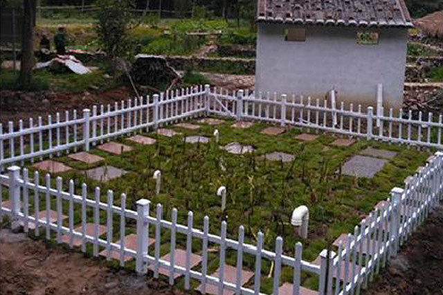 Artificial wetland sewage treatment project Artificial wetland sewage treatment project