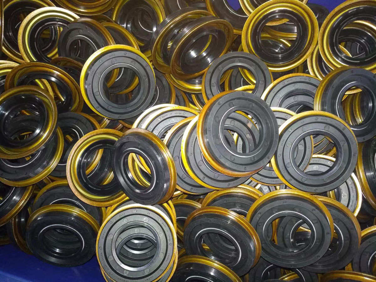 Double lip oil seal