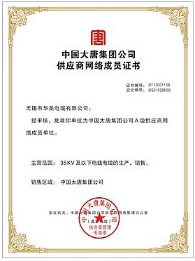 中国大唐集团公司A级供应商网络成员证书