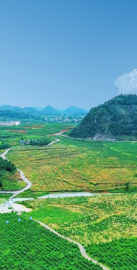 貴州民心農(nóng)業(yè)科技有限公司 貴州民心農(nóng)業(yè)科技有限公司
