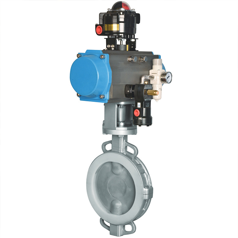 WF Series Fluorine Lined Butterfly Valve