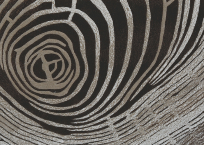 Carpets need to brand innovation with the times the future can be expected